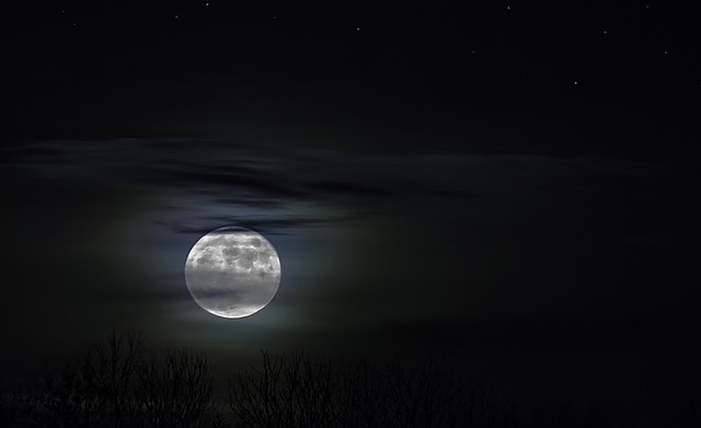 夜空と満月-画像